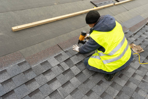 Best Roof Moss and Algae Removal  in Washington, GA